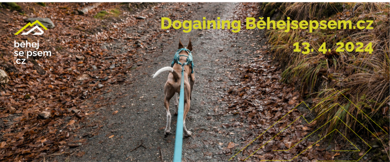 Dogaining Běhejsepsem.cz